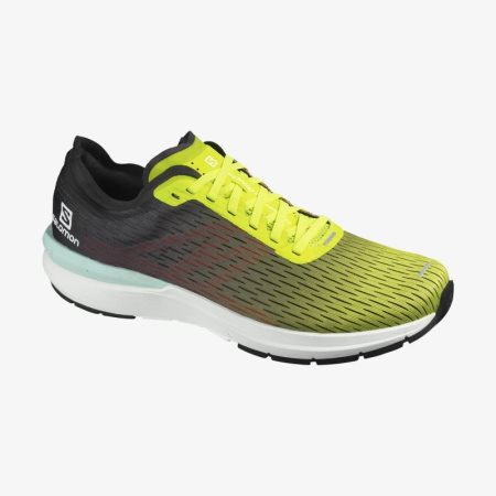 Salomon SONIC 3 Accelerate Mens Running Shoes Yellow/Black | Salomon South Africa